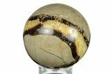 Polished Septarian Sphere - Madagascar #260028-1